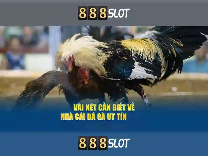 Ưu Điểm Nổi Bật