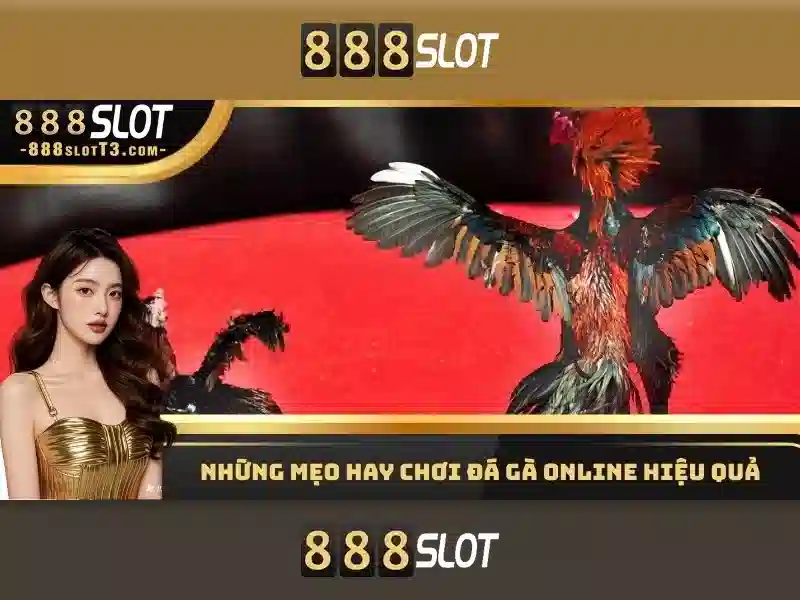 Hướng Dẫn Chơi Đá Gà