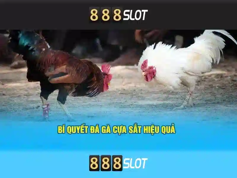 Hướng dẫn đăng ký tại 888SLOT