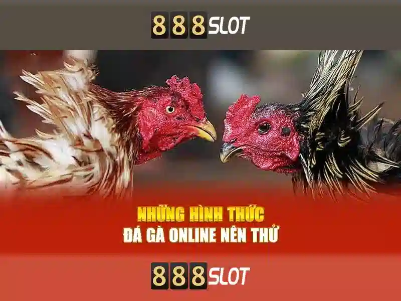 Ưu Đãi 888SLOT