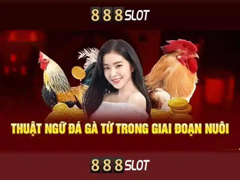 Ưng dụng 888slot Login App
