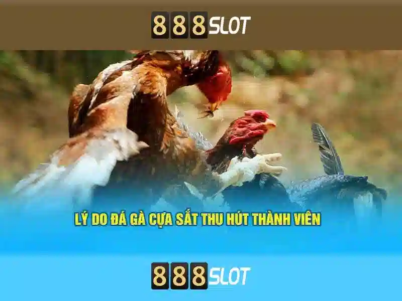 Ưu Điểm Nổi Bật