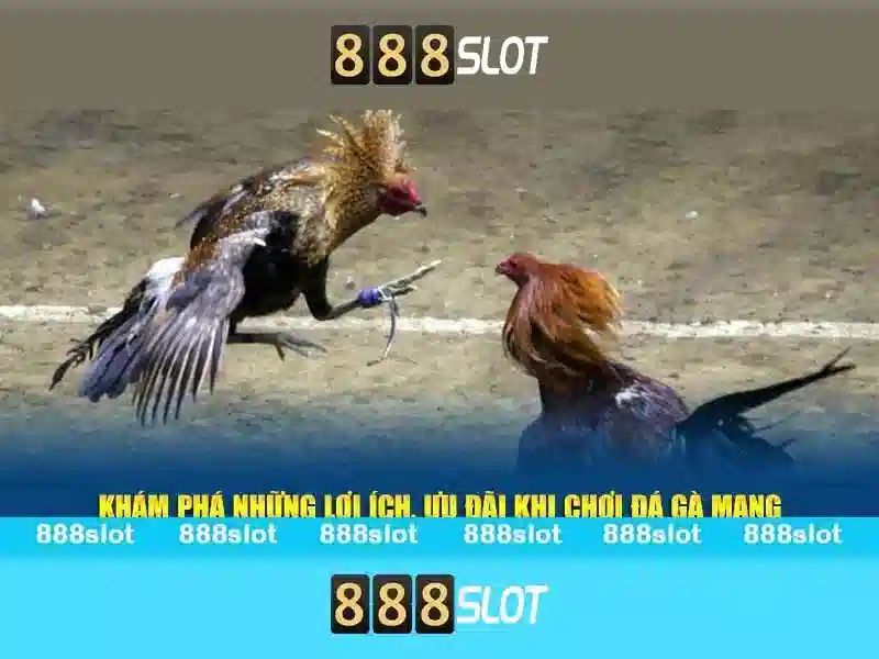 Khuyến mãi đặc biệt