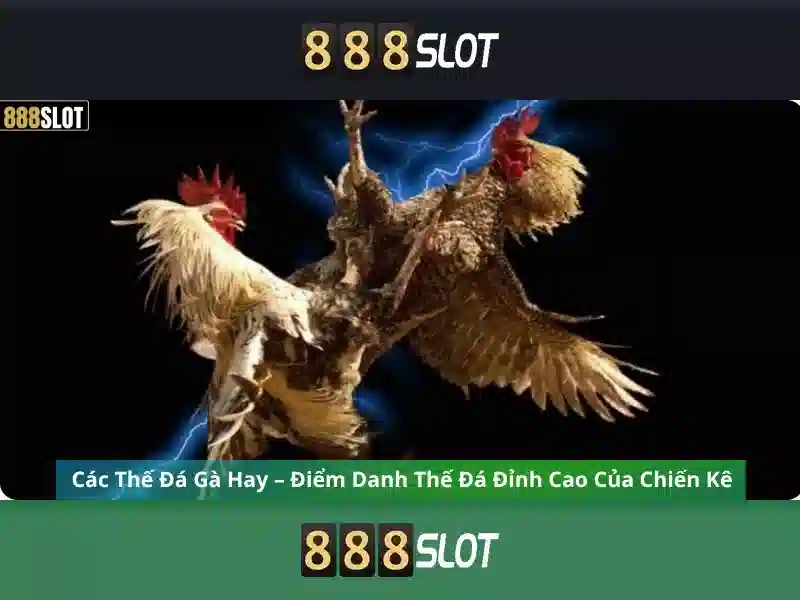 Quy trình tải 888slot apk