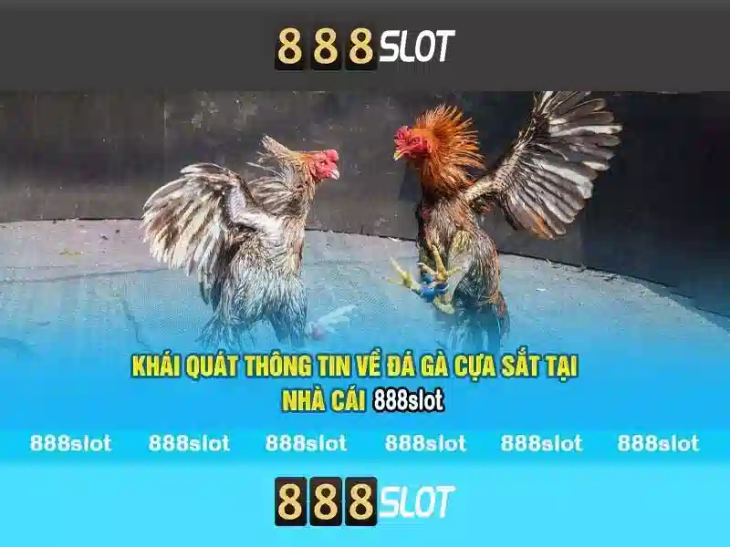 Tải 888SLOT APK
