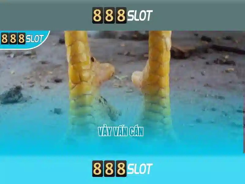 888SLOT nền tảng slot đa dạng với RTP cao