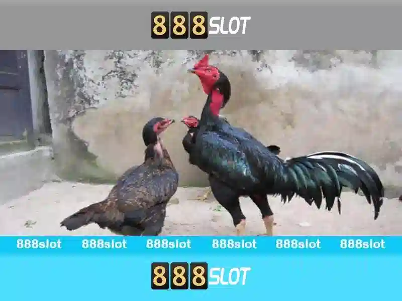 888SLOT – Hướng Dẫn Tải App 888 Slot & Hỗ Trợ Chuyên Nghiệp 2026