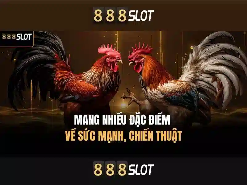Ưu Điểm 888SLOT