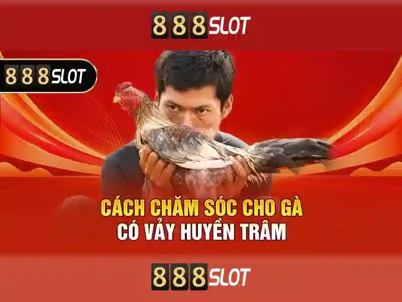 Đăng Nhập 888SLOT