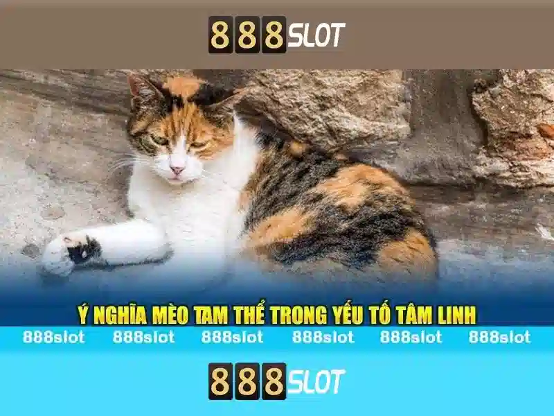 Trải Nghiệm Slot Đa Dạng Với Giao Diện Hiện Đại