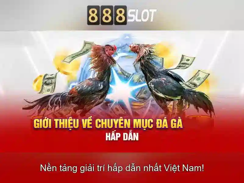Tính Năng Độc Quyền