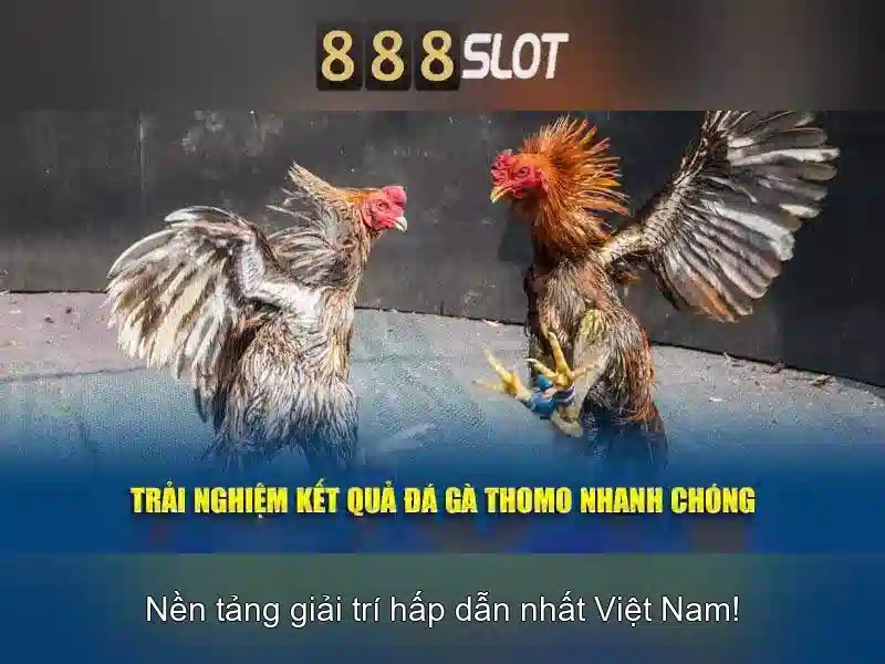 Lý Do Chọn 888SLOT