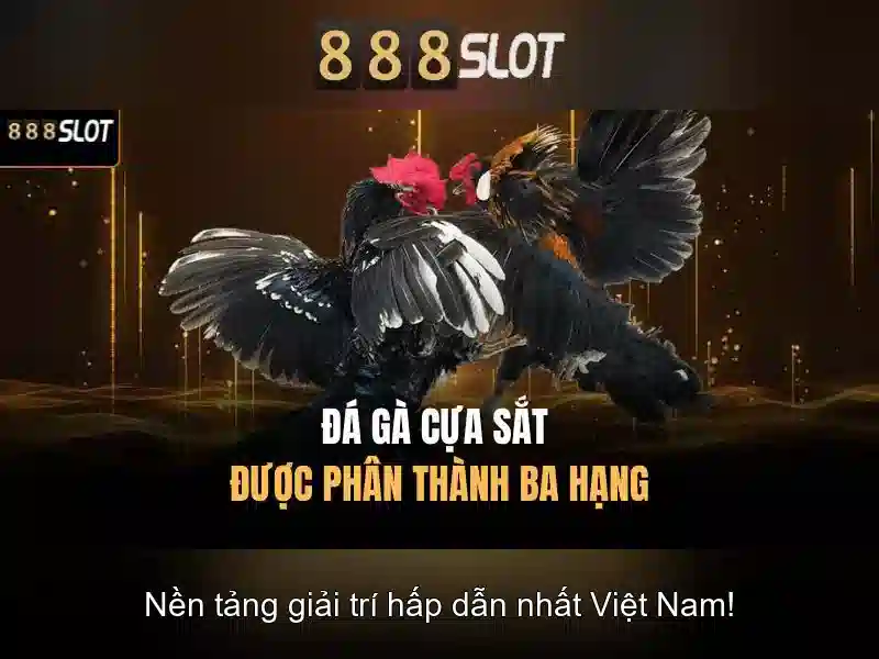 Chương trình khuyến mãi 888slot 83
