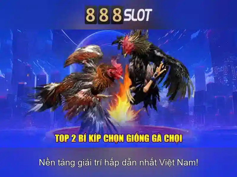 888SLOT – Trang Chủ Uy Tín, Tải 888 Slot Online Tốt Nhất 2026