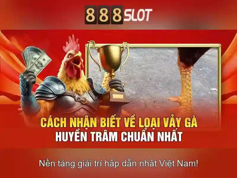 888SLOT – Trải Nghiệm Chơi Slot Vip Đỉnh Cao 2026