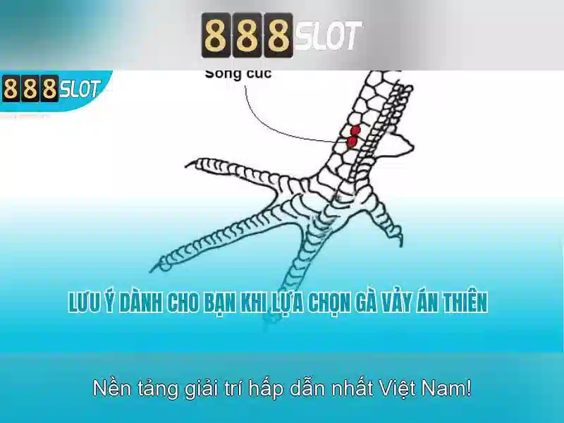 Cách Download 888slot Nhanh Chóng